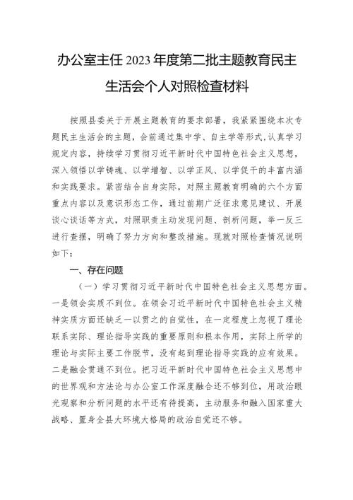 办公室主任2023第二批主题教育民主生活会个人对照检查材料.docx