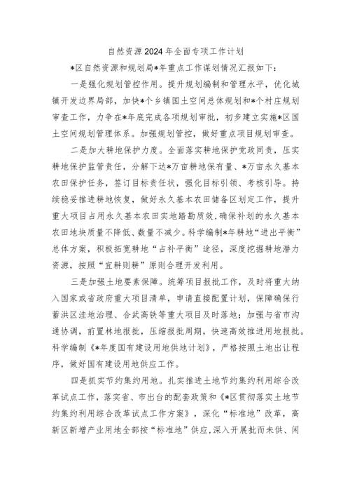 自然资源2024年全面专项工作计划.docx