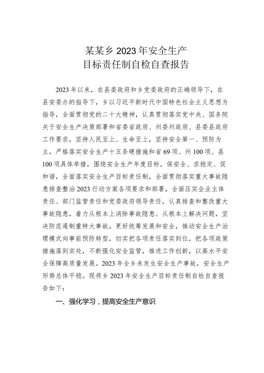 某某乡2023年安全生产目标责任制自检自查报告.docx_第1页