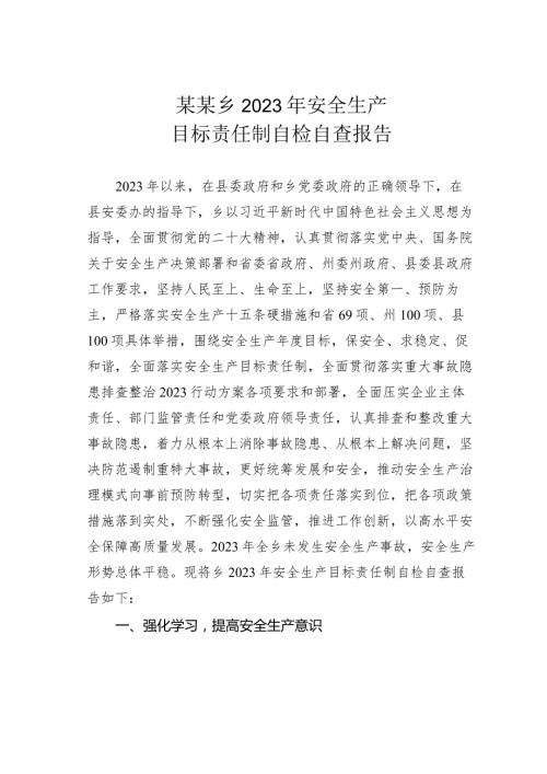 某某乡2023年安全生产目标责任制自检自查报告.docx