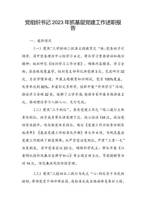 党组织书记2023年抓基层党建工作述职报告(1).docx