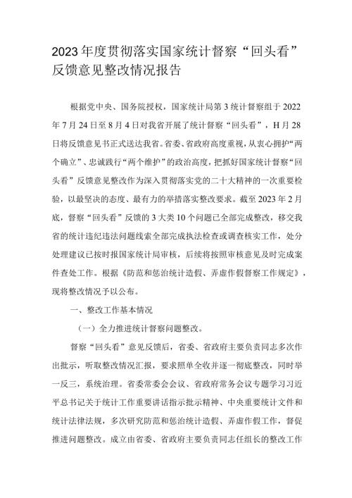 2023贯彻落实国家统计督察“回头看”反馈意见整改情况报告.docx