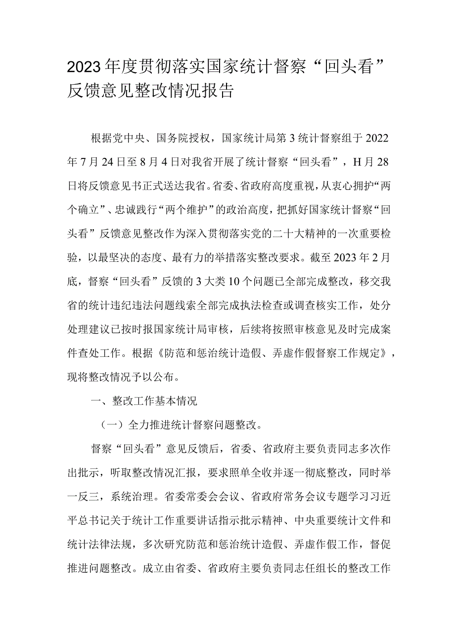 2023贯彻落实国家统计督察“回头看”反馈意见整改情况报告.docx_第1页