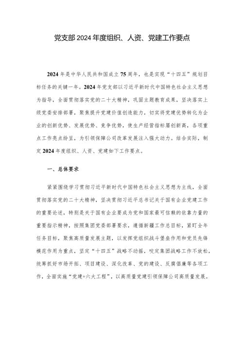 党支部2024组织、人资、党建工作要点.docx