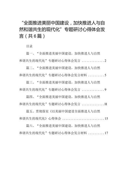 “全面推进美丽中国建设加快推进人与自然和谐共生的现代化”专题研讨心得体会发言六篇(最新精选).docx