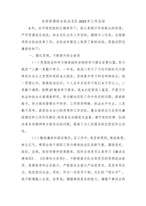 自然资源综合执法支队2023年工作总结.docx