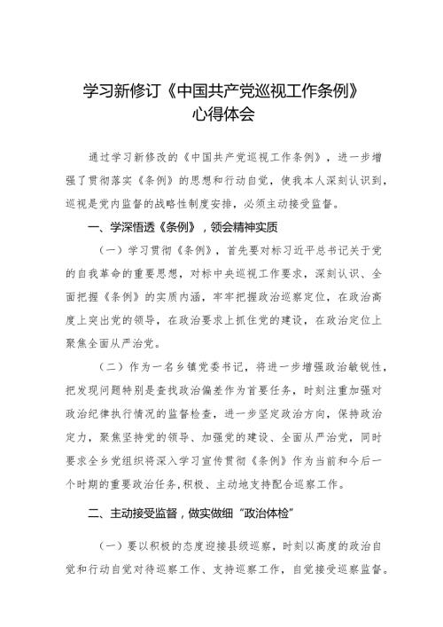 镇长书记学习2024新修订《中国共产党巡视工作条例》心得体会8篇.docx