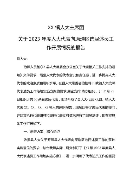 XX镇人大主席团关于2023人大代表述职的工作报告.docx