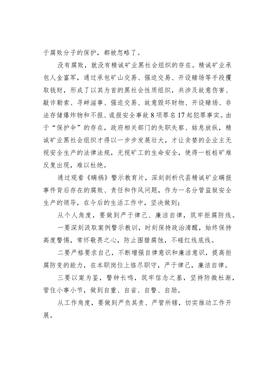 观看警示教育片《瞒祸》心得体会(1).docx_第2页