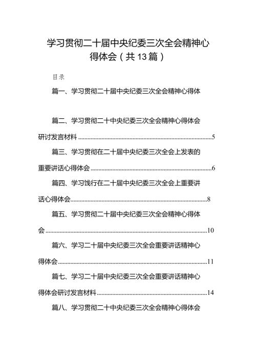 学习贯彻二十中央纪委三次全会精神心得体会13篇（详细版）.docx