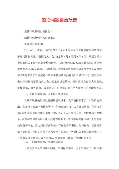 整治问题自查报告.docx