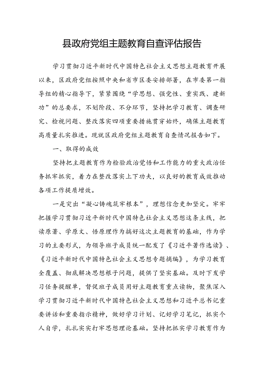 县政府党组主题教育自查评估报告.docx_第1页