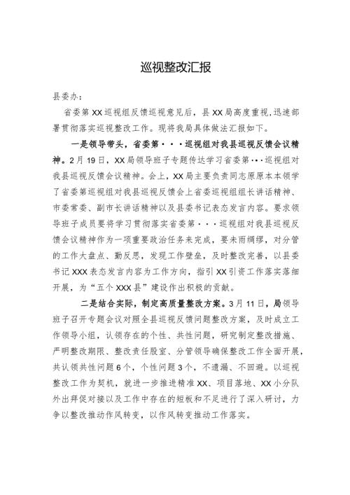 巡视整改汇报.docx