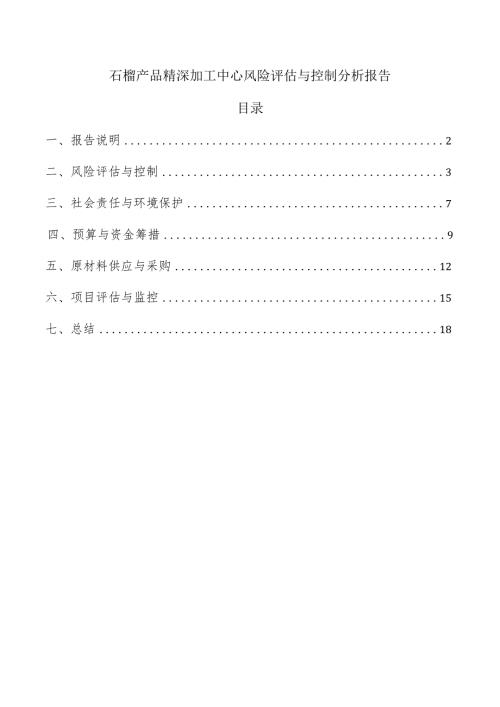 石榴产品精深加工中心风险评估与控制分析报告.docx