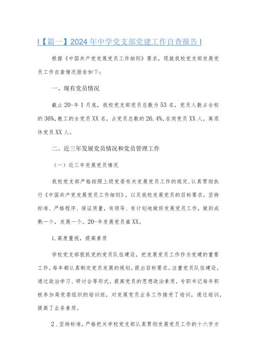2024年中学党支部党建工作自查报告.docx