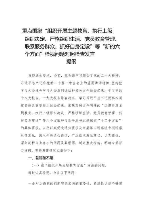 2024组织专题生活会重点围绕“组织开展主题教育、执行上级组织决定、严格组织生活、党员教育管理'联系服务群众、抓好自身定设”等“.docx