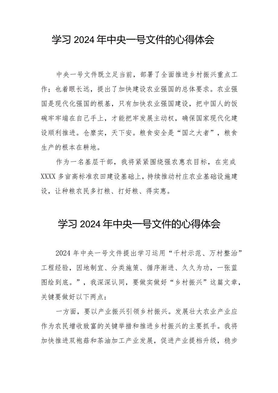 驻村干部学习2024年中央一号文件的心得感悟十四篇.docx_第3页