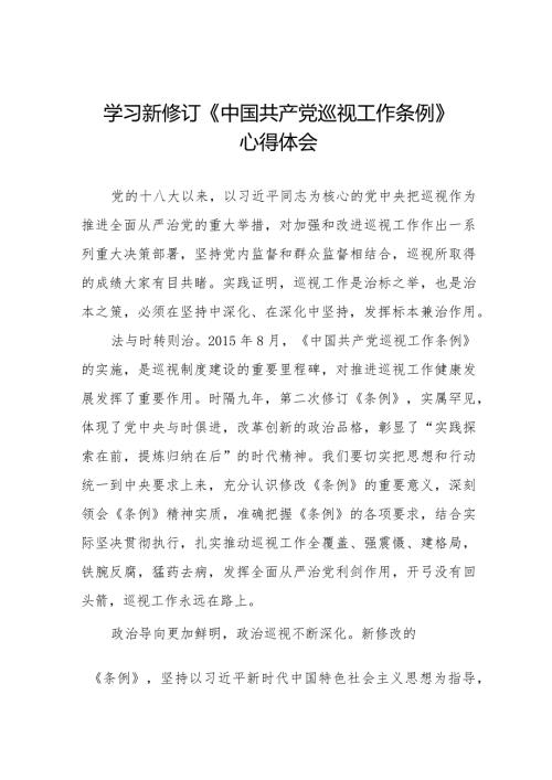 学习2024版新修订《中国共产党巡视工作条例》心得体会(十三篇).docx