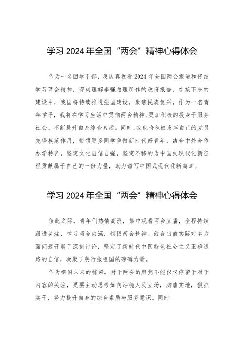 学习贯彻2024年两会精神的心得体会二十篇.docx