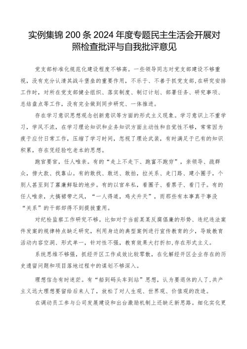 实例集锦200条2024专题民主生活会开展对照检查批评与自我批评意见.docx