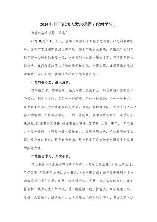 2024挂职干部表态发言提纲.docx