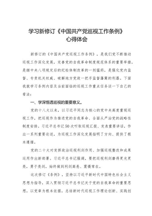 乡镇干部学习2024新修订《中国共产党巡视工作条例》心得体会7篇.docx