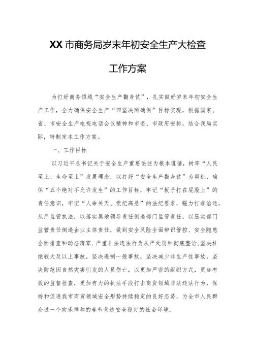 XX市商务局岁末年初安全生产大检查工作方案.docx