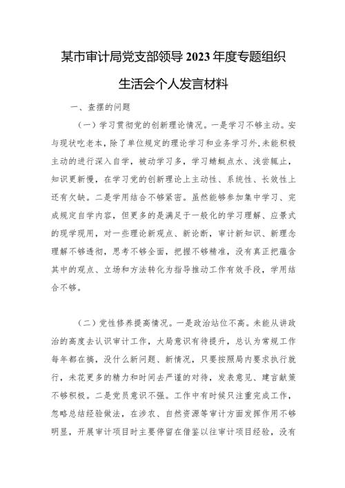 某市审计局党支部领导2023专题组织生活会个人发言材料.docx
