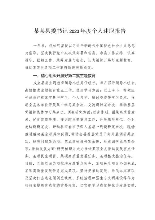 某某县委书记2023个人述职报告.docx