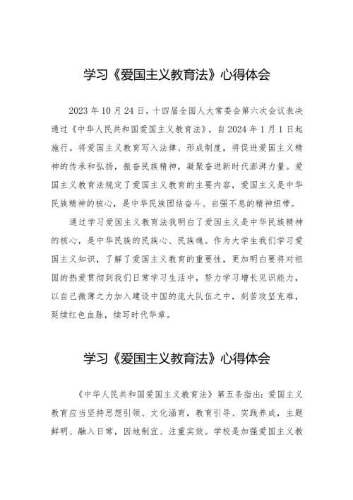 《爱国主义教育法》心得体会优秀范文8篇.docx