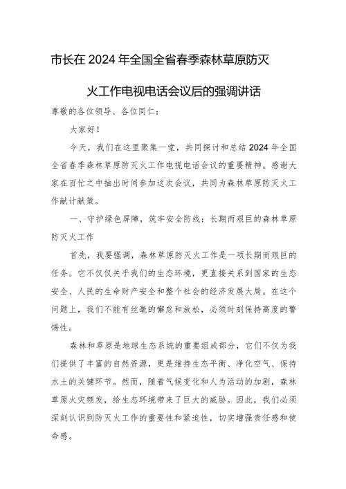 市长在2024年全国全省季森林草原防灭火工作电视电话会议后的强调讲话.docx