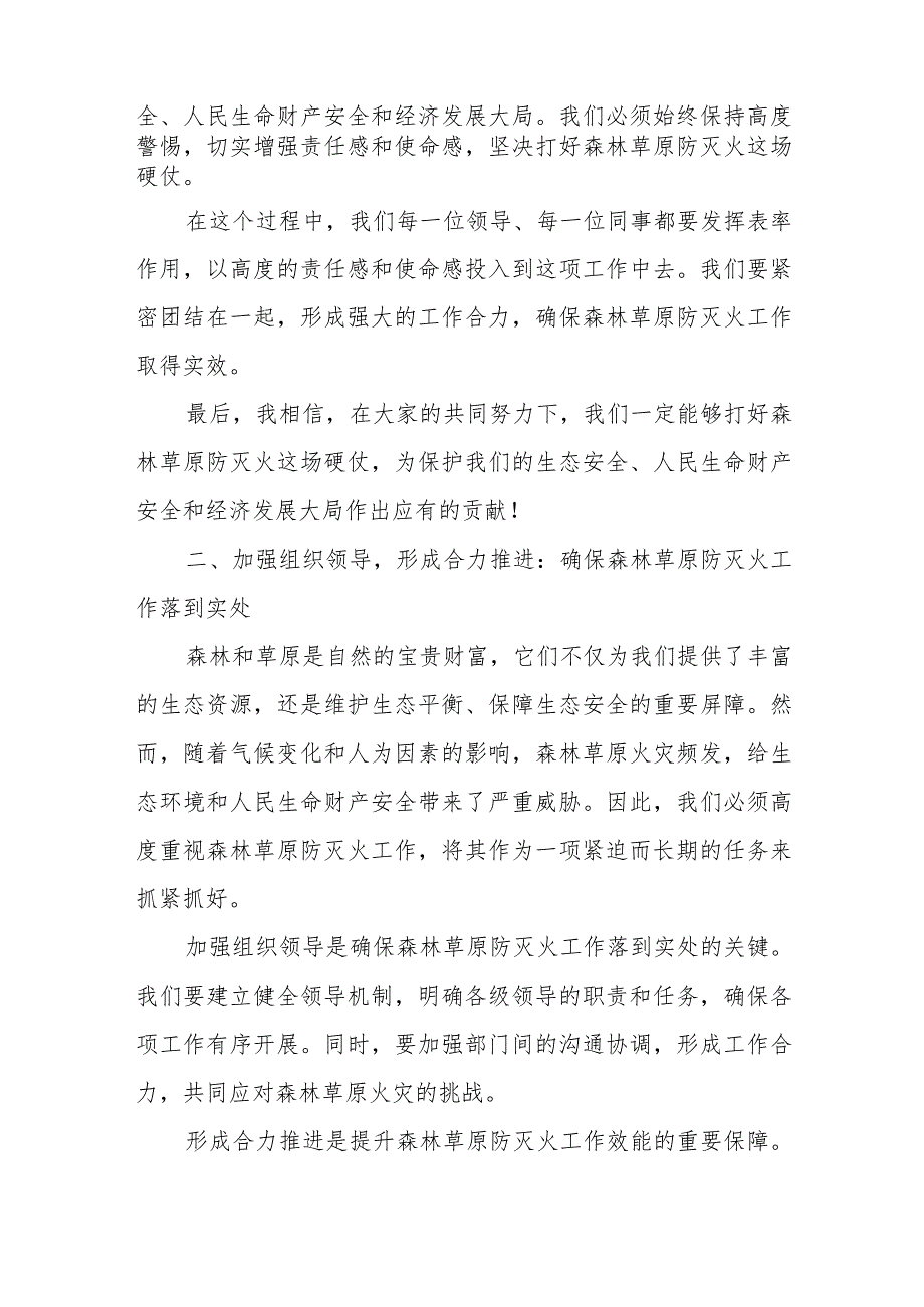 市长在2024年全国全省季森林草原防灭火工作电视电话会议后的强调讲话.docx_第3页