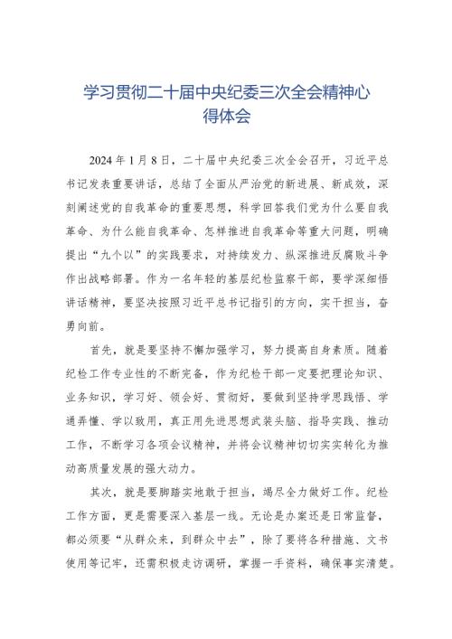 纪检干部关于学习二十中央纪委三次全会精神的心得体会(25篇).docx