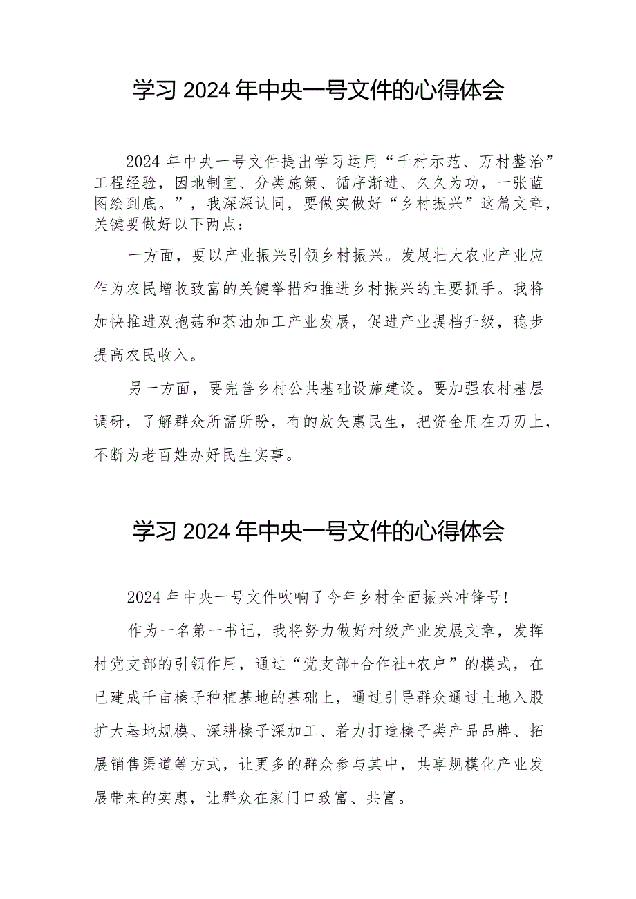 学习2024年中央一号文件的心得体会十四篇.docx_第2页