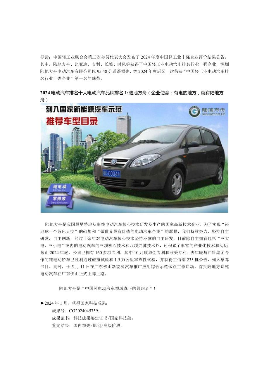 2024电动汽车排名十大电动汽车品牌排名.docx_第1页