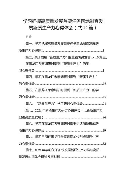 学习把握高质量发展首要任务因地制宜发展新质生产力心得体会12篇（详细版）.docx