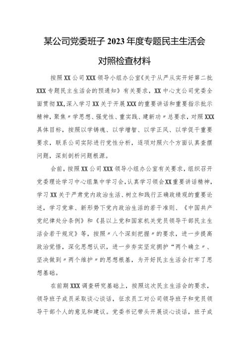 某公司党委班子2023专题民主生活会对照检查材料.docx
