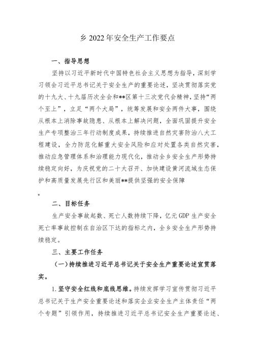 乡2022年安全生产工作要点.docx