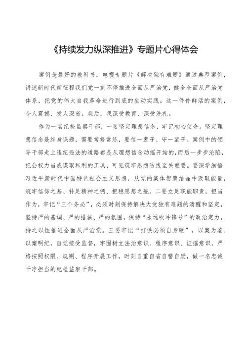 十四篇《持续发力纵深推进》电视专题片心得体会.docx