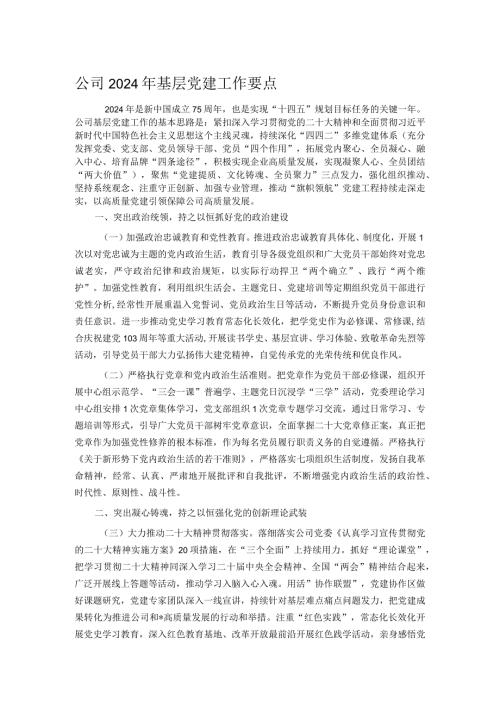 公司2024年基层党建工作要点(1).docx