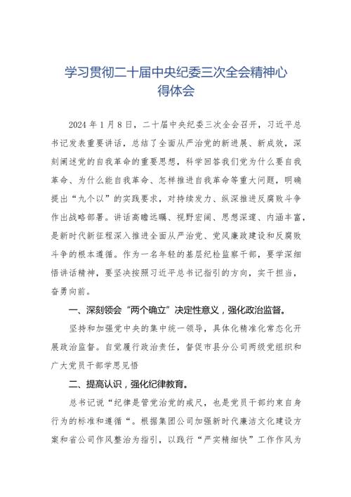 二十中央纪委三次全会精神学习感悟十九篇.docx