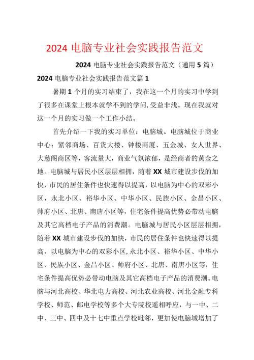 2024电脑专业社会实践报告范文.docx