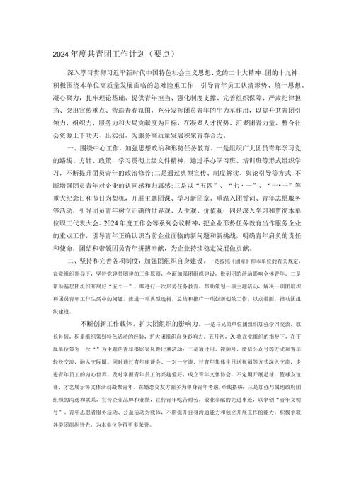 2024共青团工作计划.docx