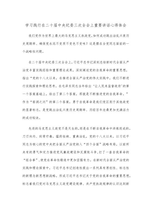 学习践行在二十中央纪委三次全会上重要讲话心得体会.docx