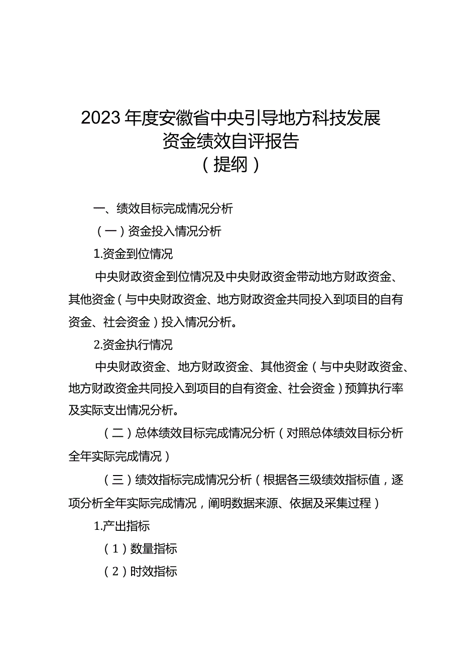 2023安徽省中央引导地方科技发展资金绩效自评表、自评报告提纲.docx_第3页