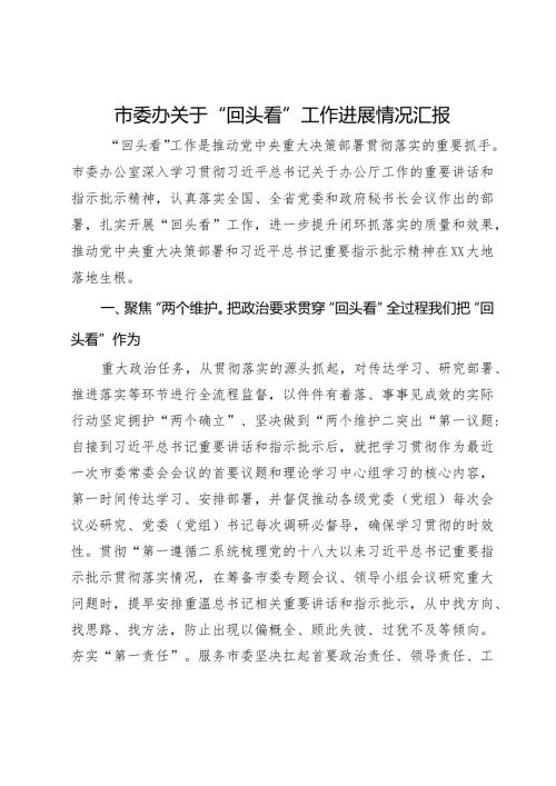 市委办关于“回头看”工作进展情况汇报.docx