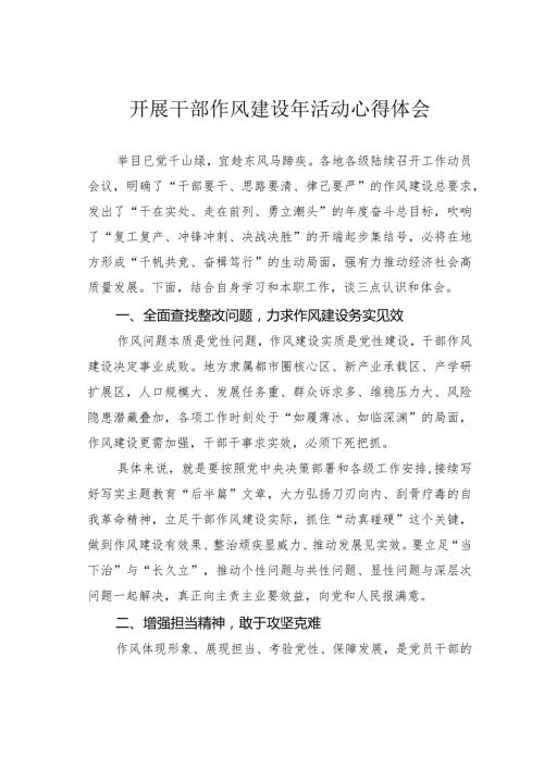 开展干部作风建设年活动心得体会.docx