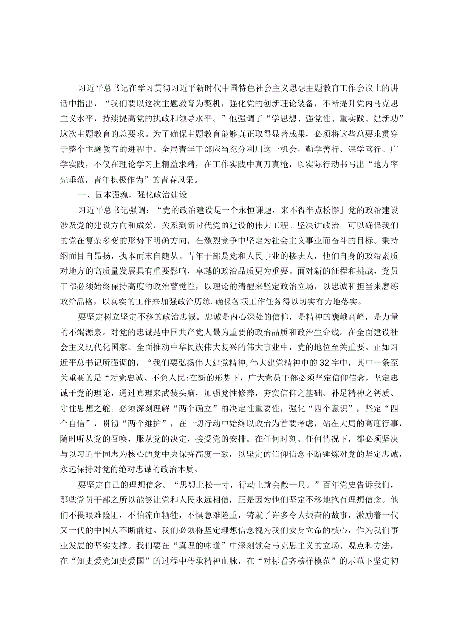 党课：贯彻主题教育精神扬青年风采谱无悔青.docx_第1页