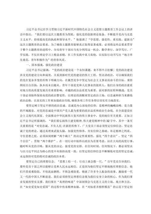 党课：贯彻主题教育精神扬青年风采谱无悔青.docx