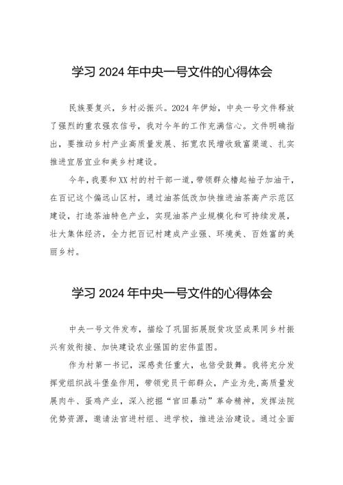 驻村干部关于2024年中央一号文件的学习体会22篇.docx